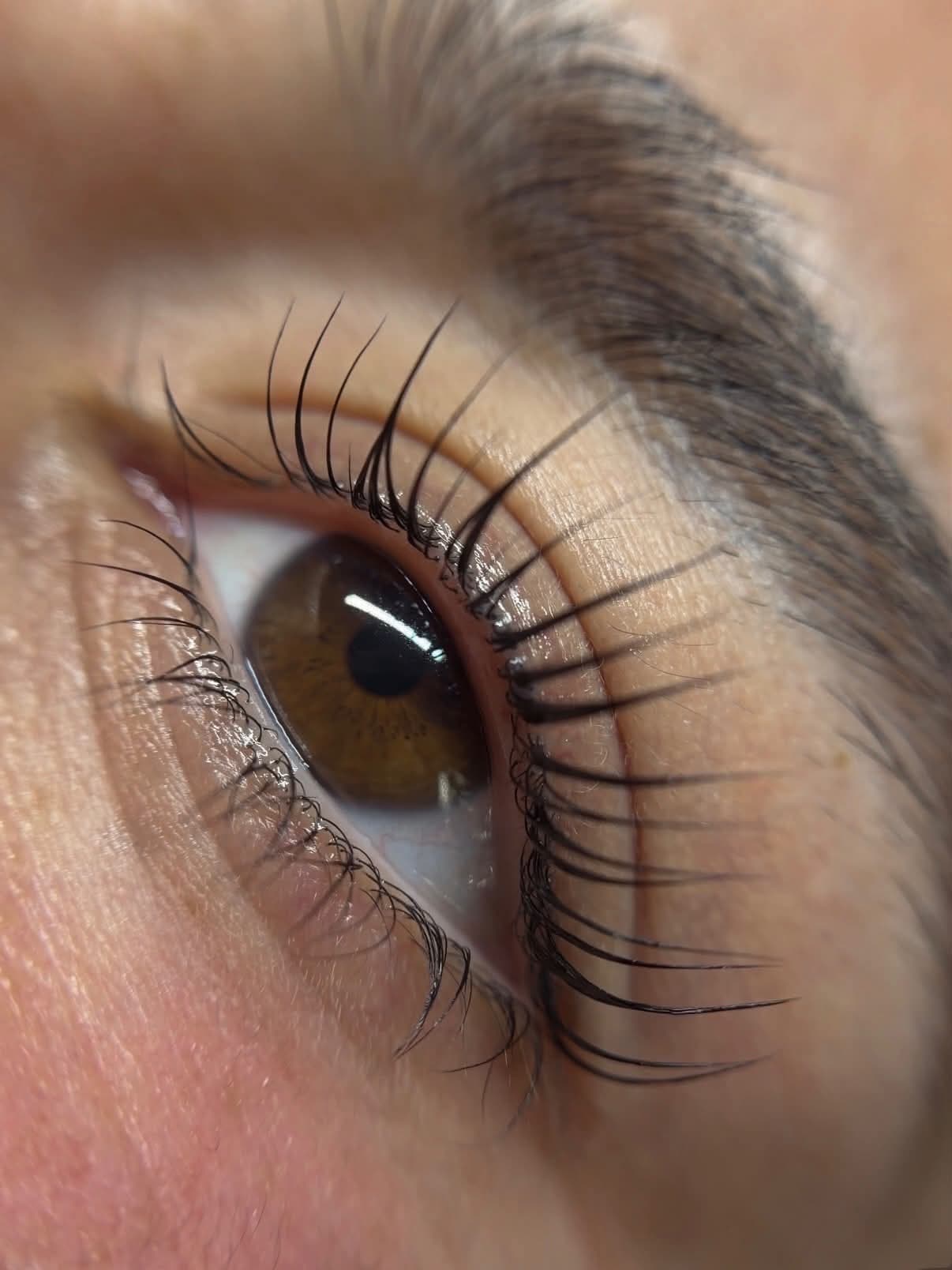 Close-up of a Korean lash lift and tint result